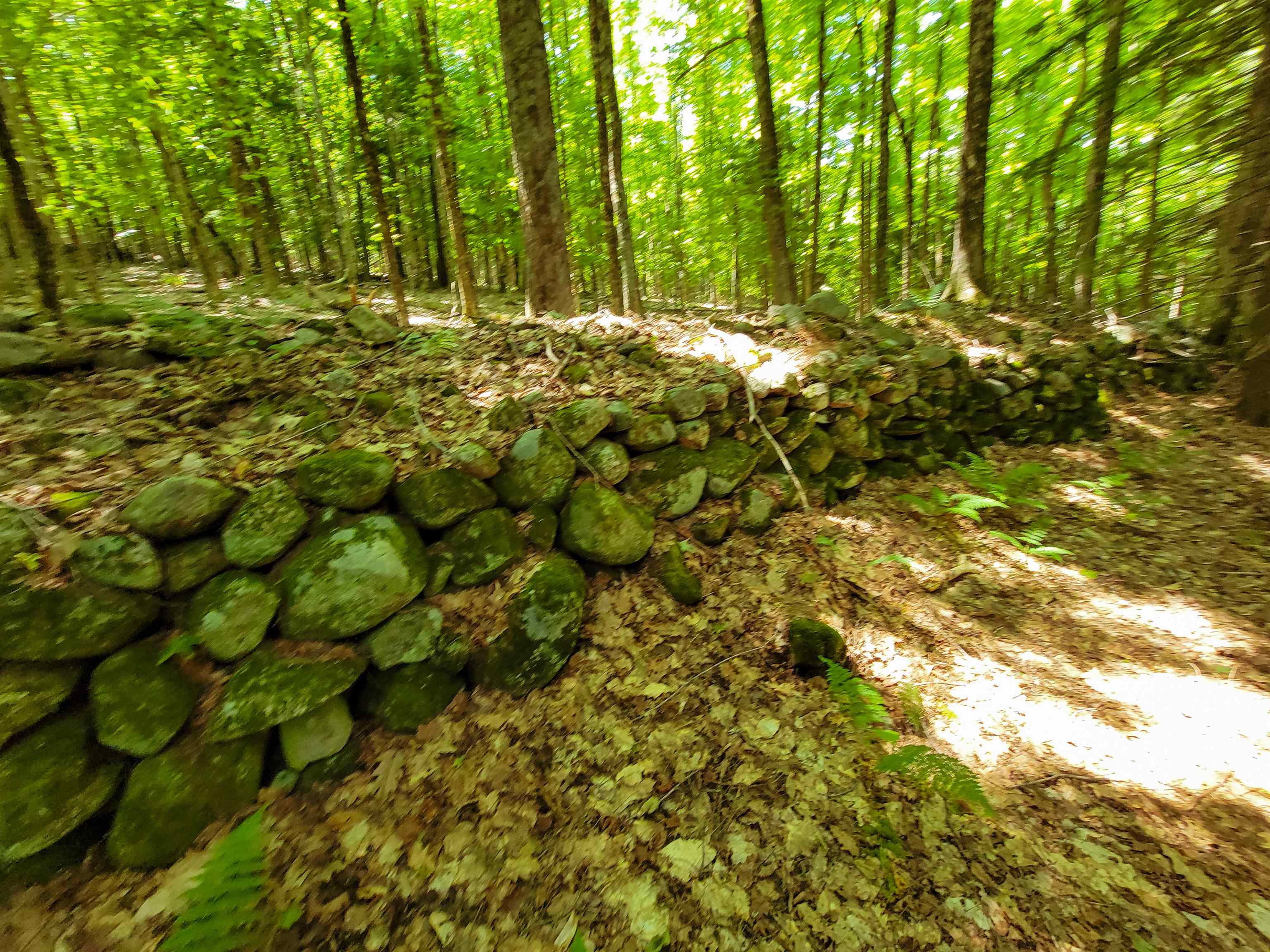 84 Hemp Hill Road Bristol, NH 03222 - Photo 7 of 40
