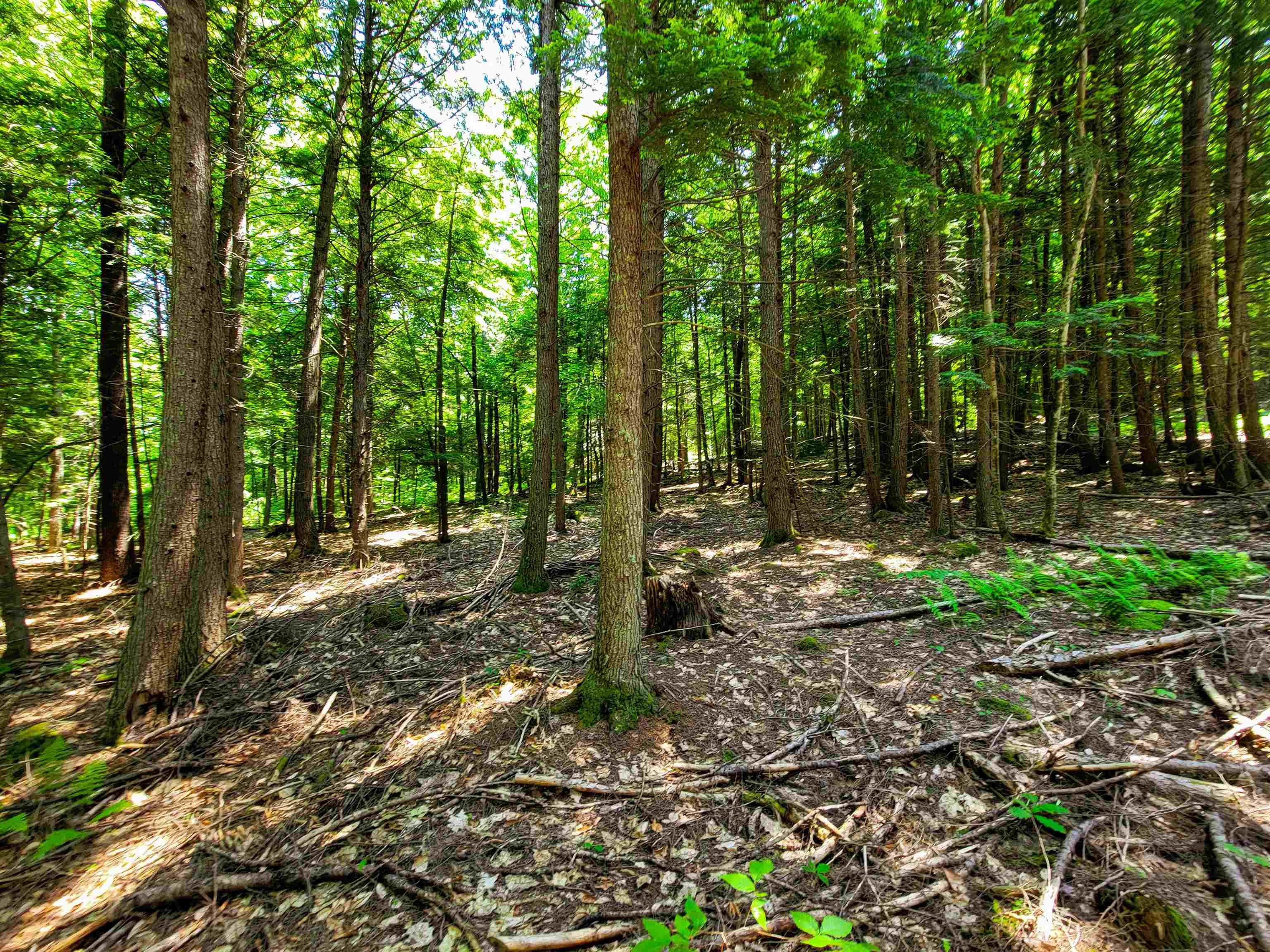 84 Hemp Hill Road Bristol, NH 03222 - Photo 9 of 40