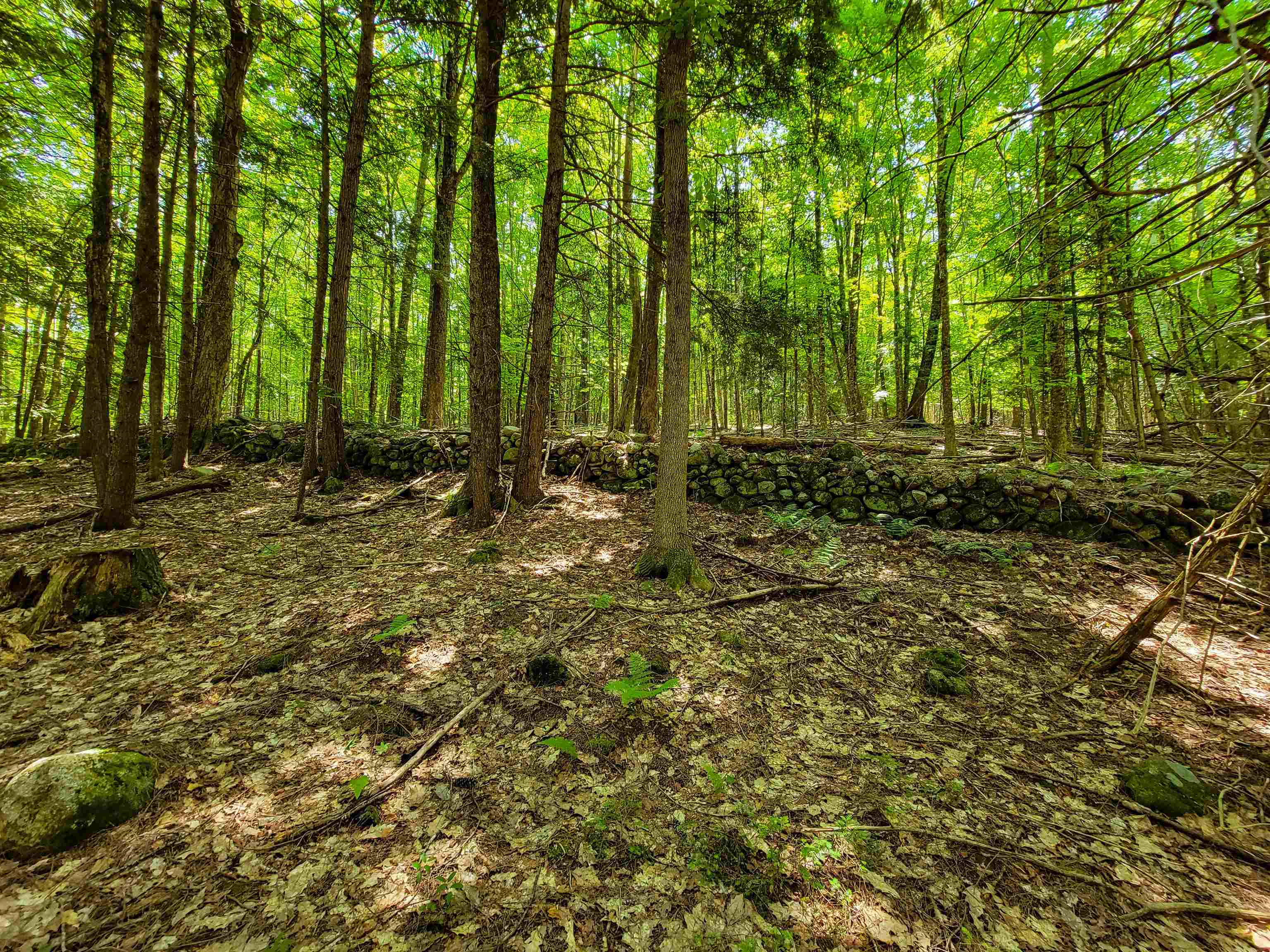 84 Hemp Hill Road Bristol, NH 03222 - Photo 10 of 40