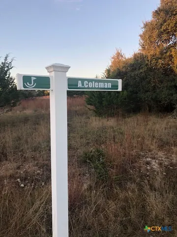 $65,000 | 0 A Coleman Street, Blanco, TX 78606