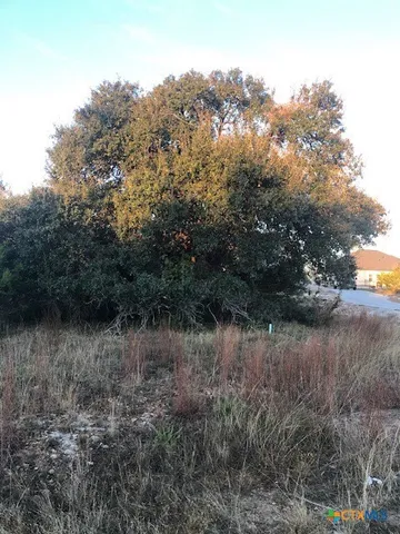 $65,000 | 0 A Coleman Street, Blanco, TX 78606