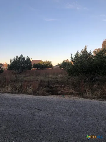 $65,000 | 0 A Coleman Street, Blanco, TX 78606