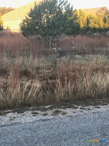 $65,000 | 0 A Coleman Street, Blanco, TX 78606