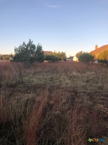 $65,000 | 0 A Coleman Street, Blanco, TX 78606