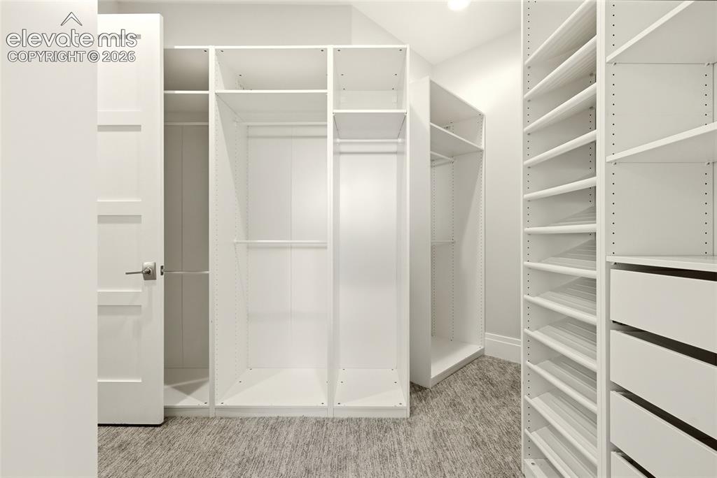 19038 Dorncliffe Road Monument, CO 80132 - Photo 19 of 50 Two Primary Closets