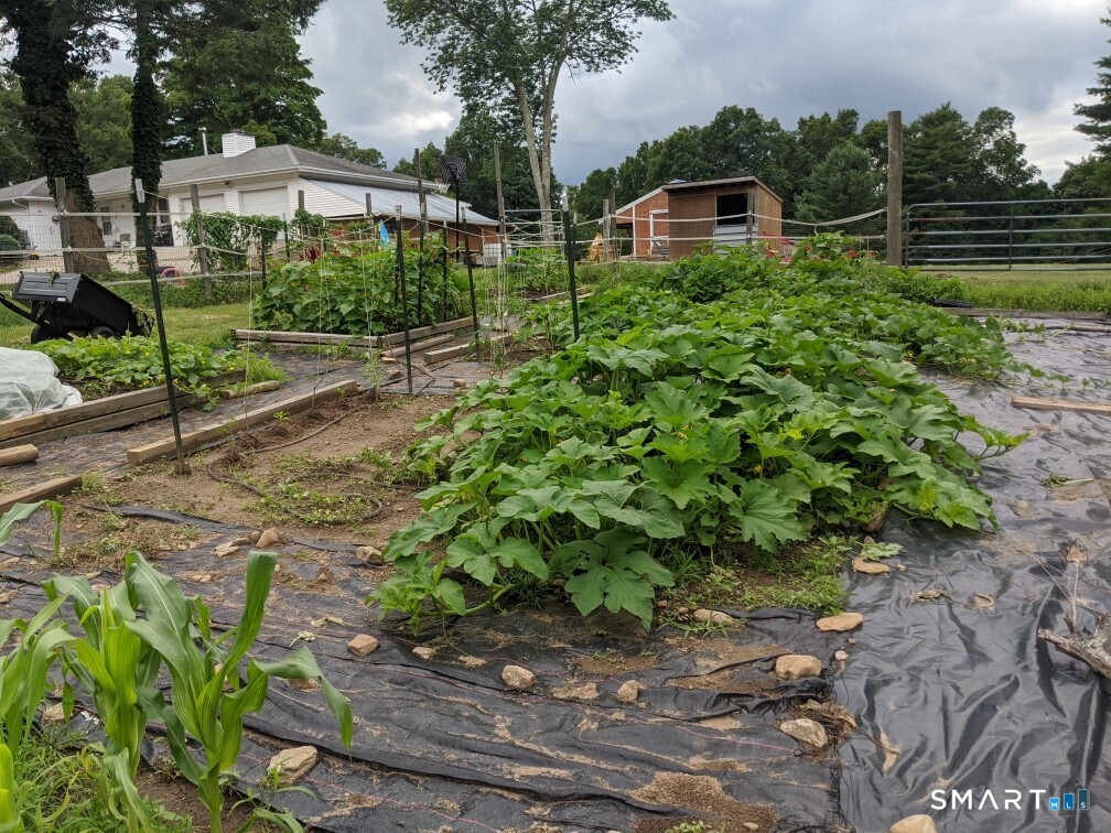 102 Pumpkin Hill Road Ashford, CT 06278 - Photo 38 of 38 Garden (last year)