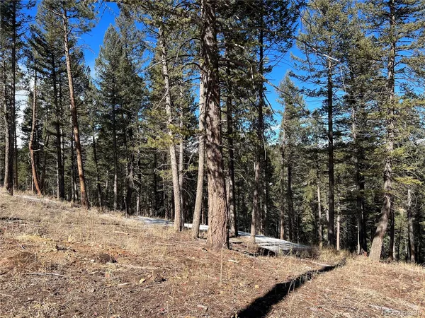 $310,000 | 7871 Gold Rush Place, Morrison, CO 80465