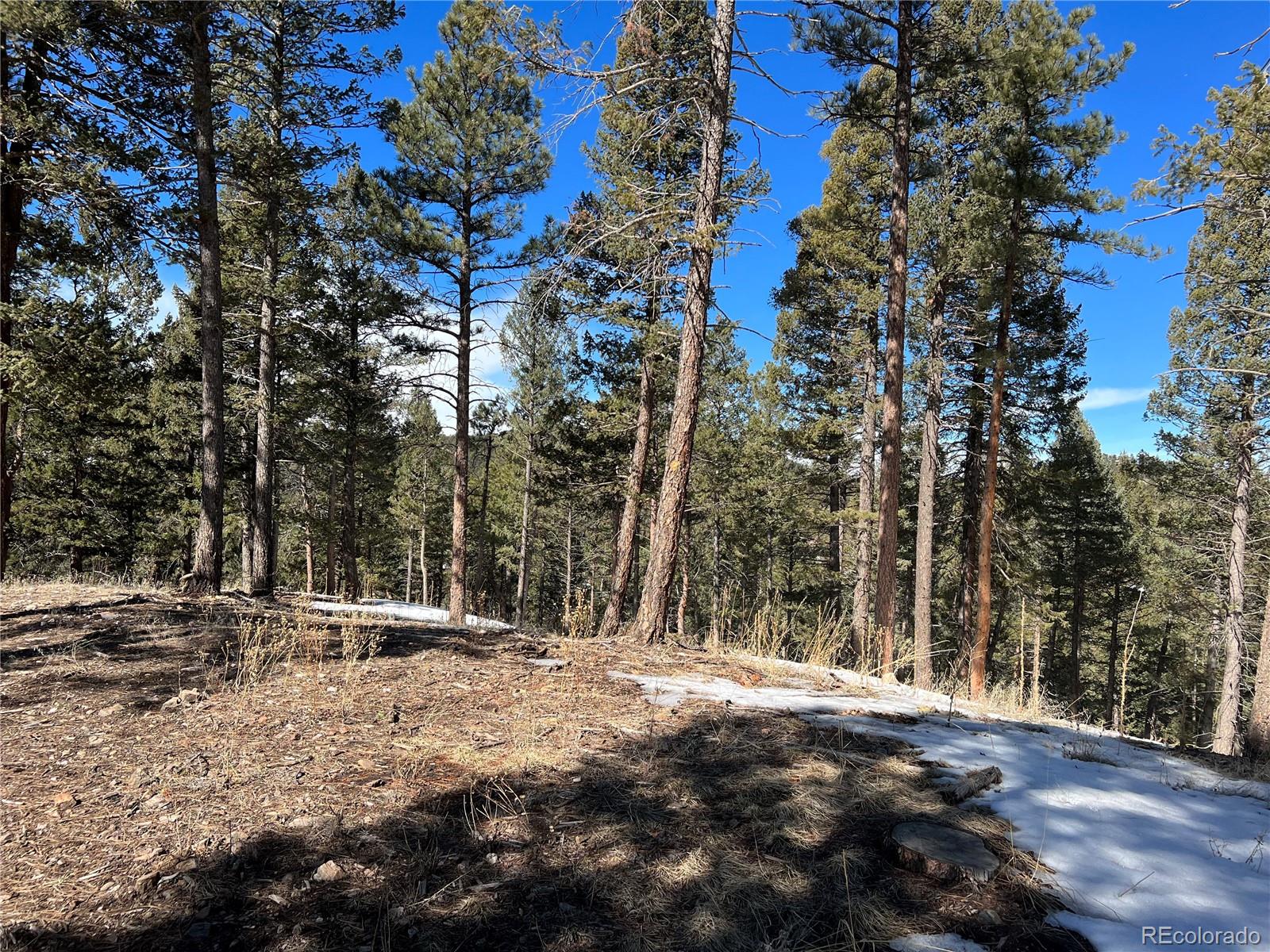 7871 Gold Rush Place Morrison, CO 80465 - Photo 2 of 3 a view of outdoor space with trees