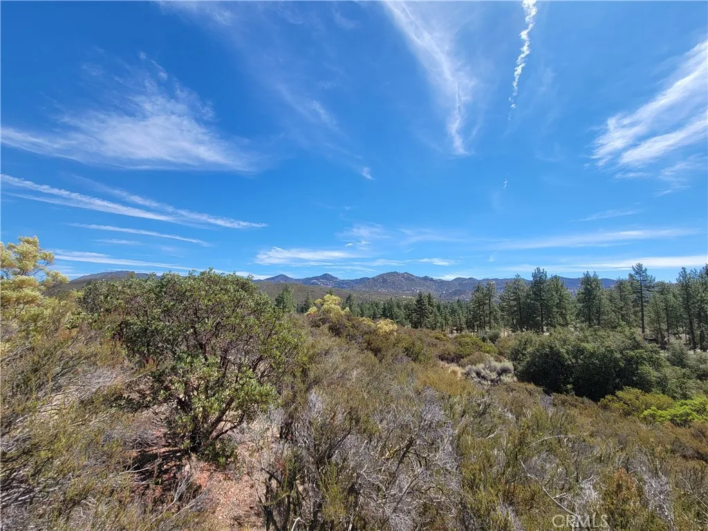 0 Tule Peak Road Anza, CA 92539 - Photo 13 of 18