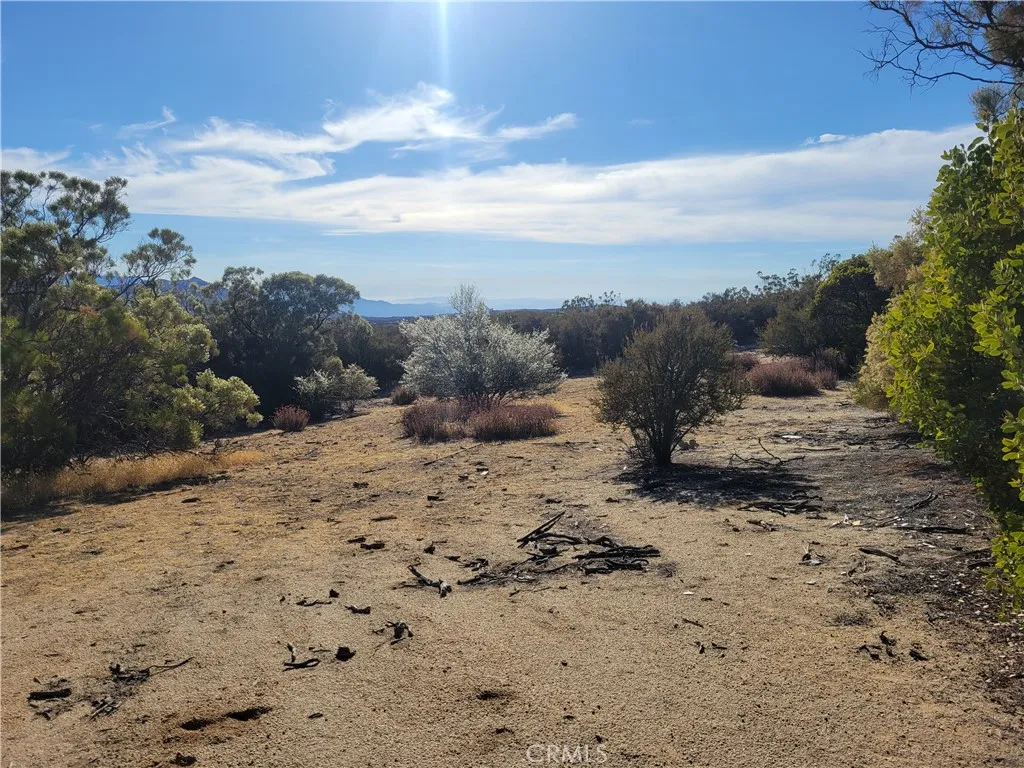 0 Tule Peak Road Anza, CA 92539 - Photo 16 of 18
