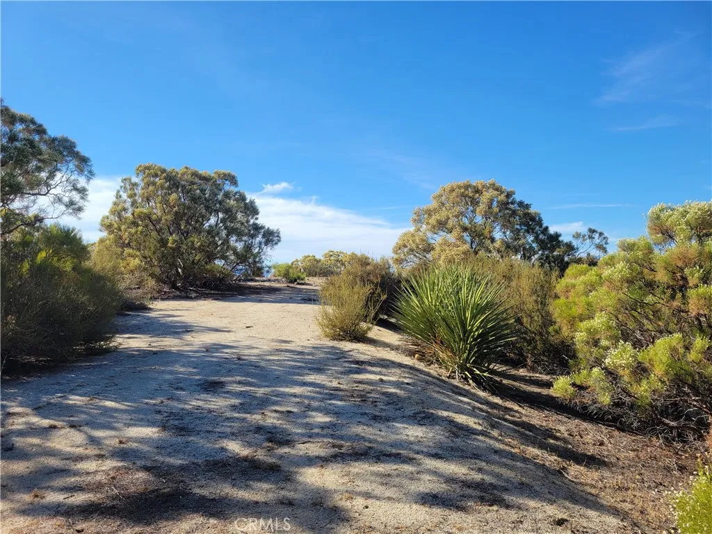0 Tule Peak Road Anza, CA 92539 - Photo 4 of 18