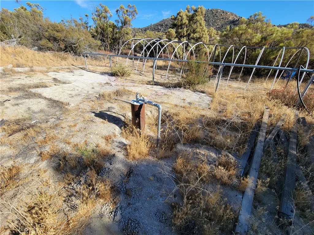 0 Tule Peak Road Anza, CA 92539 - Photo 5 of 18 a backyard of a house with large trees