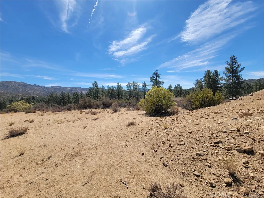 0 Tule Peak Road Anza, CA 92539 - Photo 7 of 18 a view of a dry yard with wooden fence