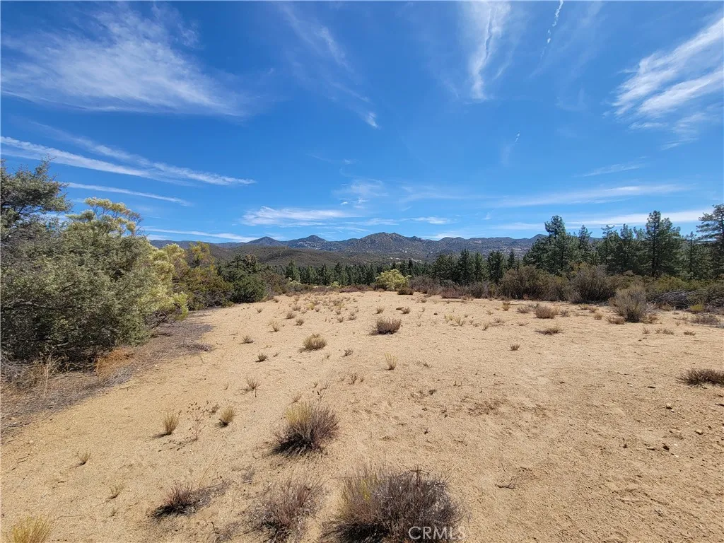 0 Tule Peak Road Anza, CA 92539 - Photo 9 of 18