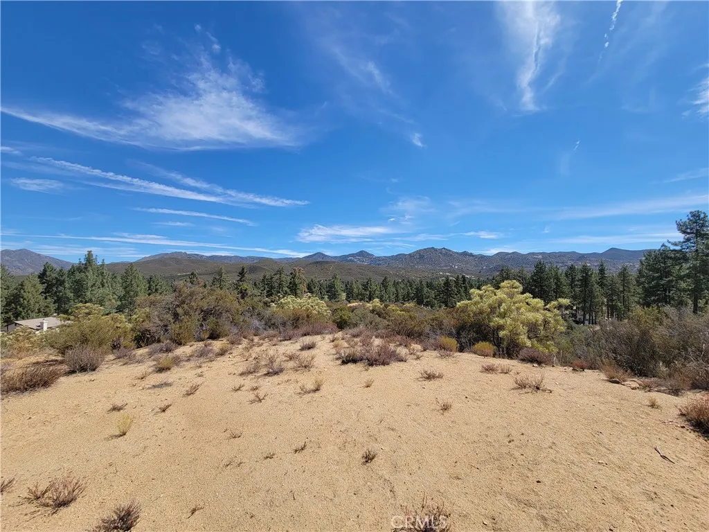 0 Tule Peak Road Anza, CA 92539 - Photo 10 of 18