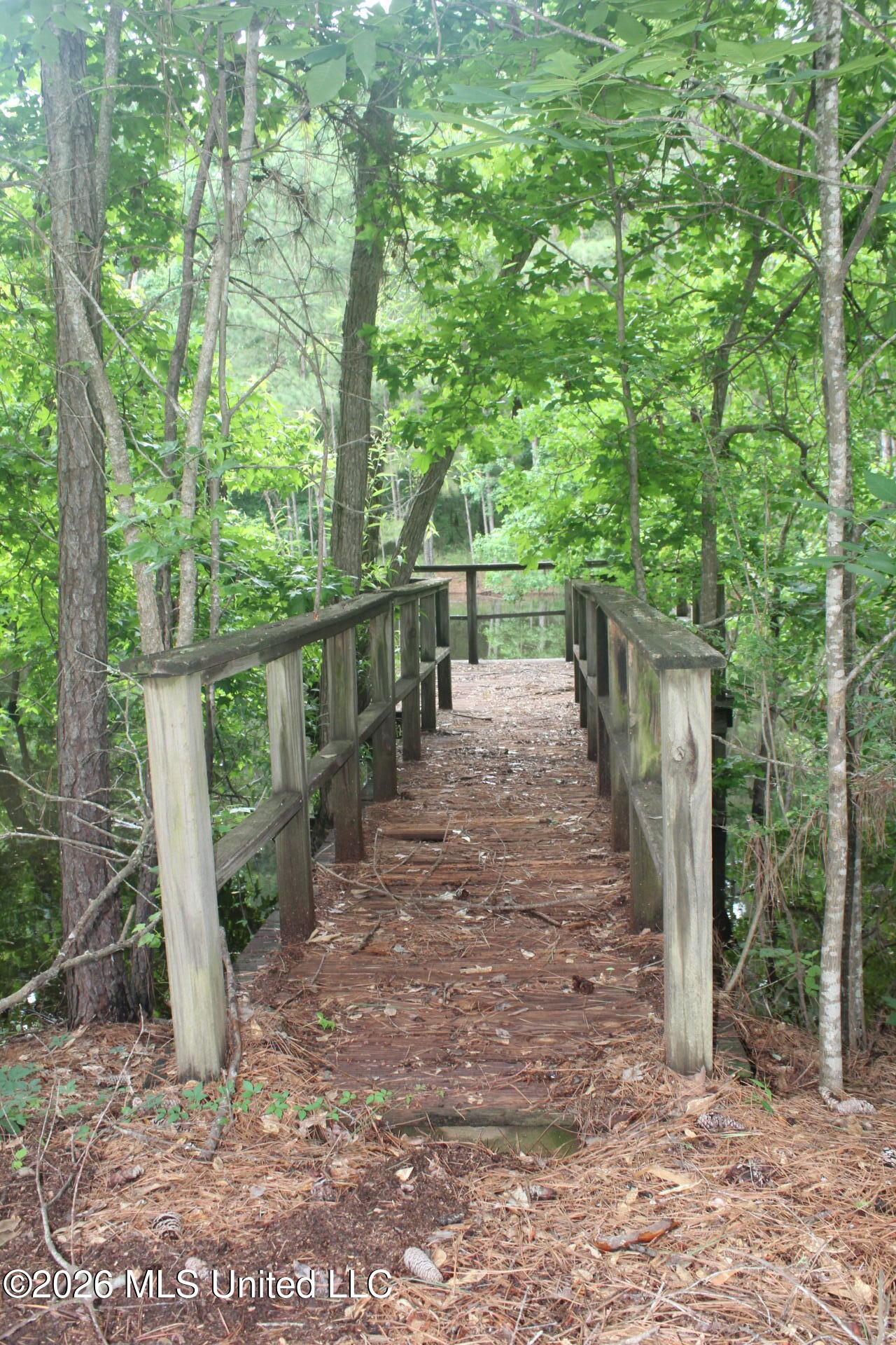 429 River Rd Drive Southeast Bogue Chitto, MS 39629 - Photo 12 of 38 IMG_9729