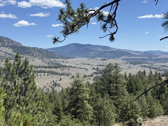 132 West Cayuse Mountain Road Tonasket, WA 98855 - Photo 29 of 29