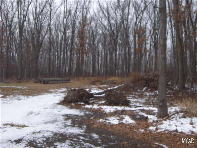 13931 Wanty Road Milan, MI 48160 - Photo 2 of 13 LOTS OF TREES