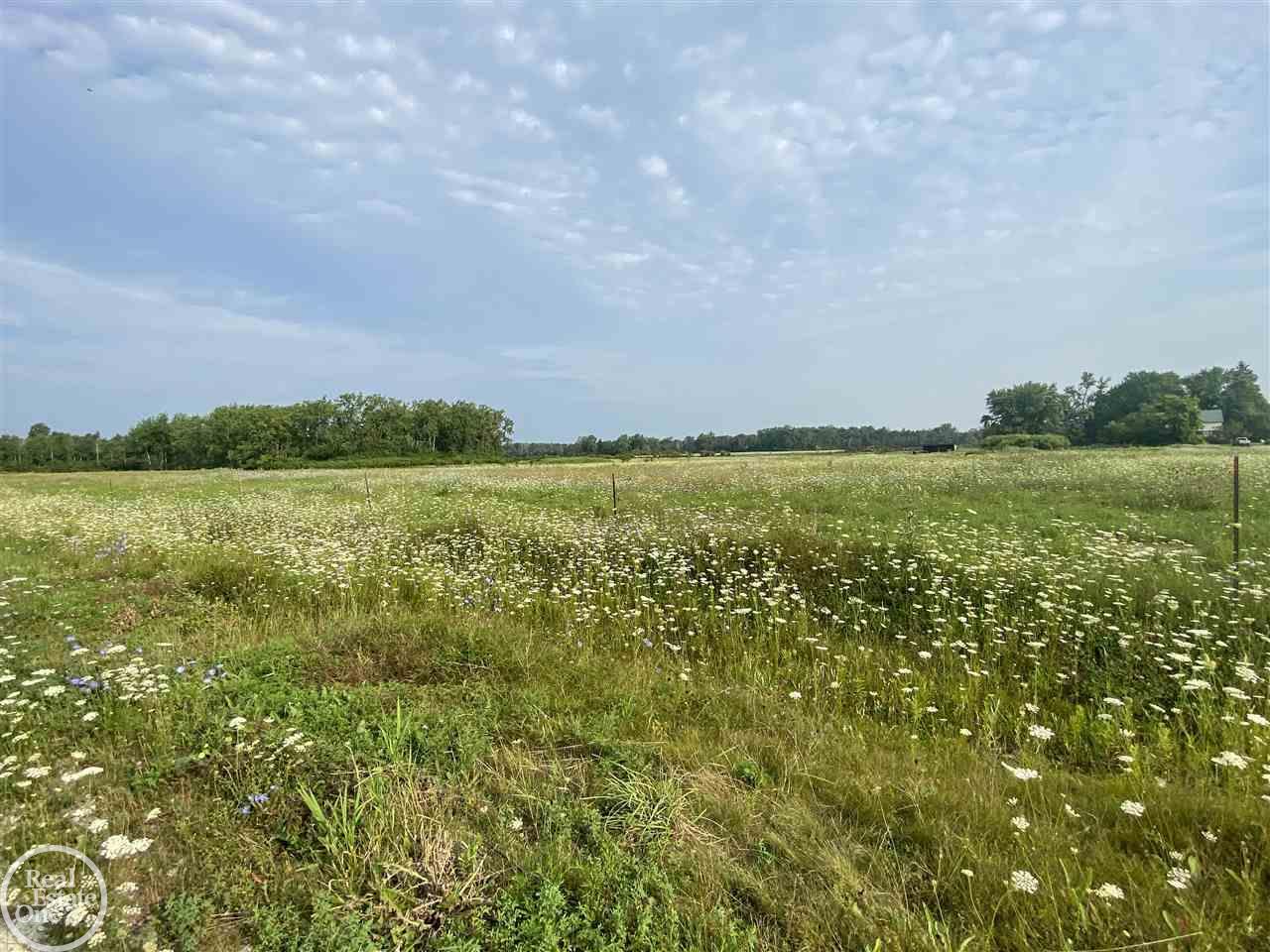 8914 Melvin Road Melvin, MI 48454 - Photo 13 of 15