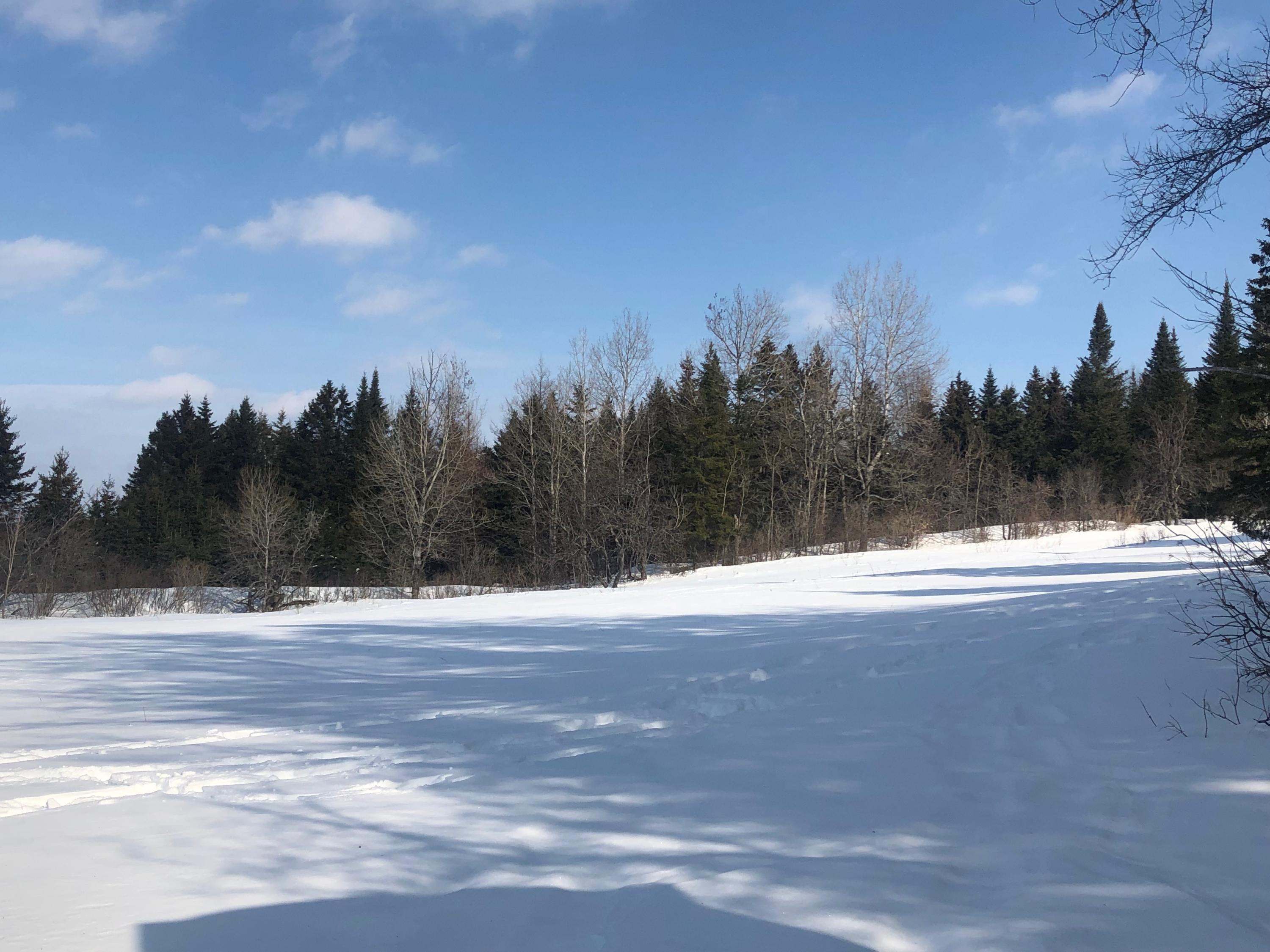2016 Washburn Road Washburn, ME 04786 - Photo 39 of 51 IMG_2280