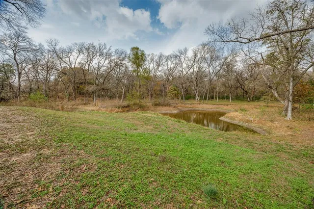 a view of dirt field with trees around