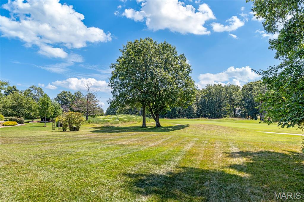 1069 Whitmoor Drive Weldon Spring, MO 63304 - Photo 16 of 17