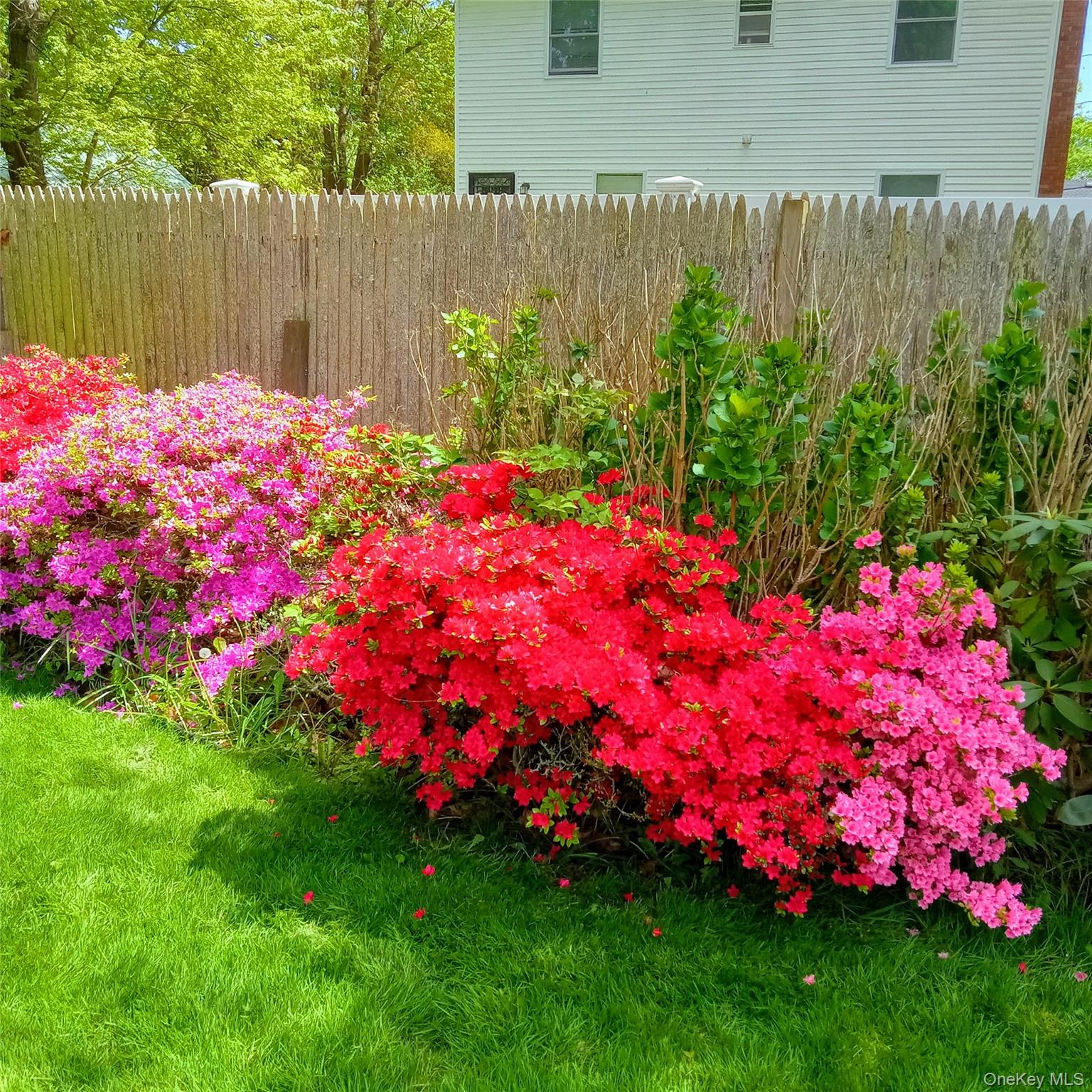 154 Cedar Road East Mastic Beach, NY 11951 - Photo 9 of 9 Gallery Image 9