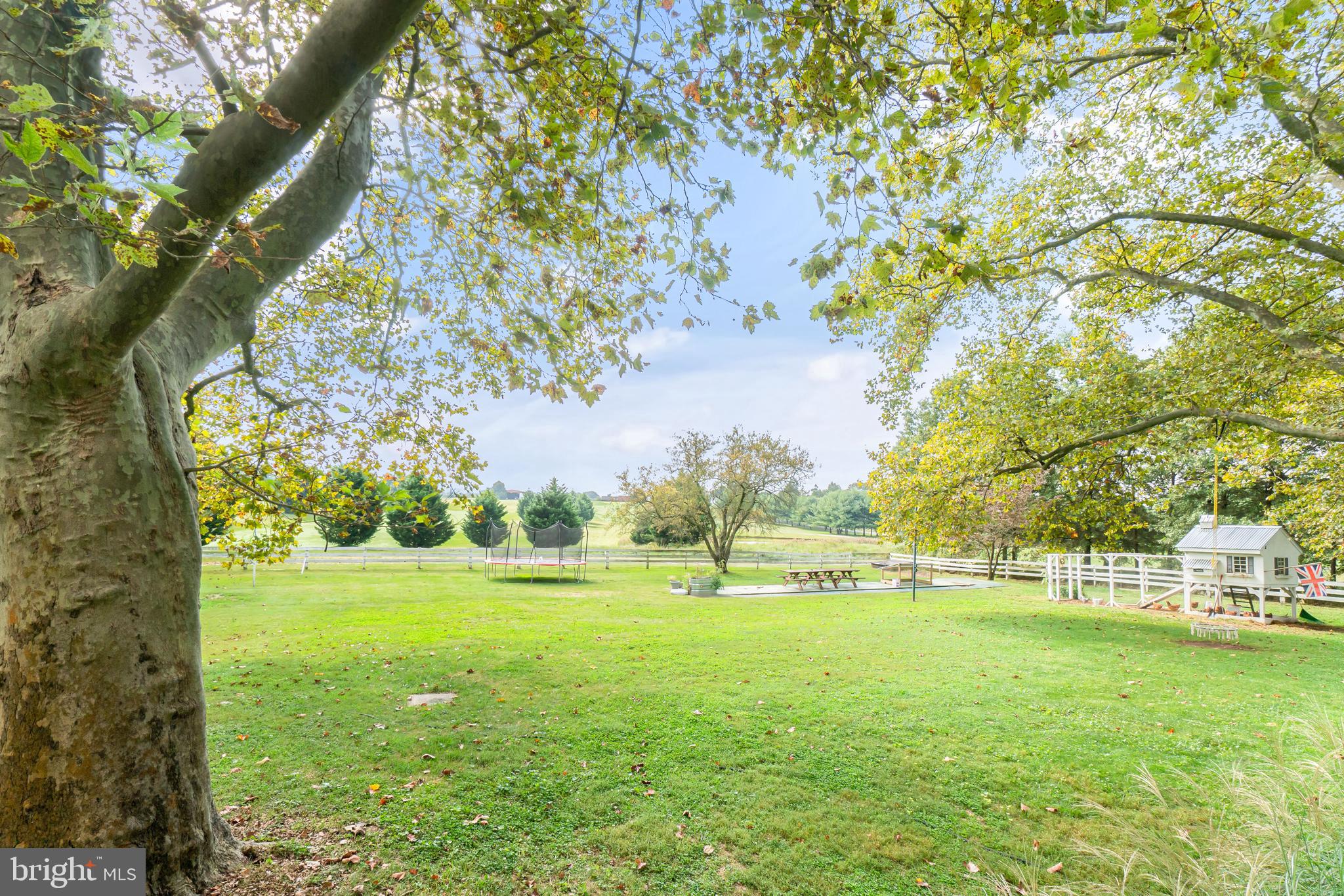 1488 Principio Furnace Road Perryville, MD 21903 - Photo 37 of 39 Rear yard