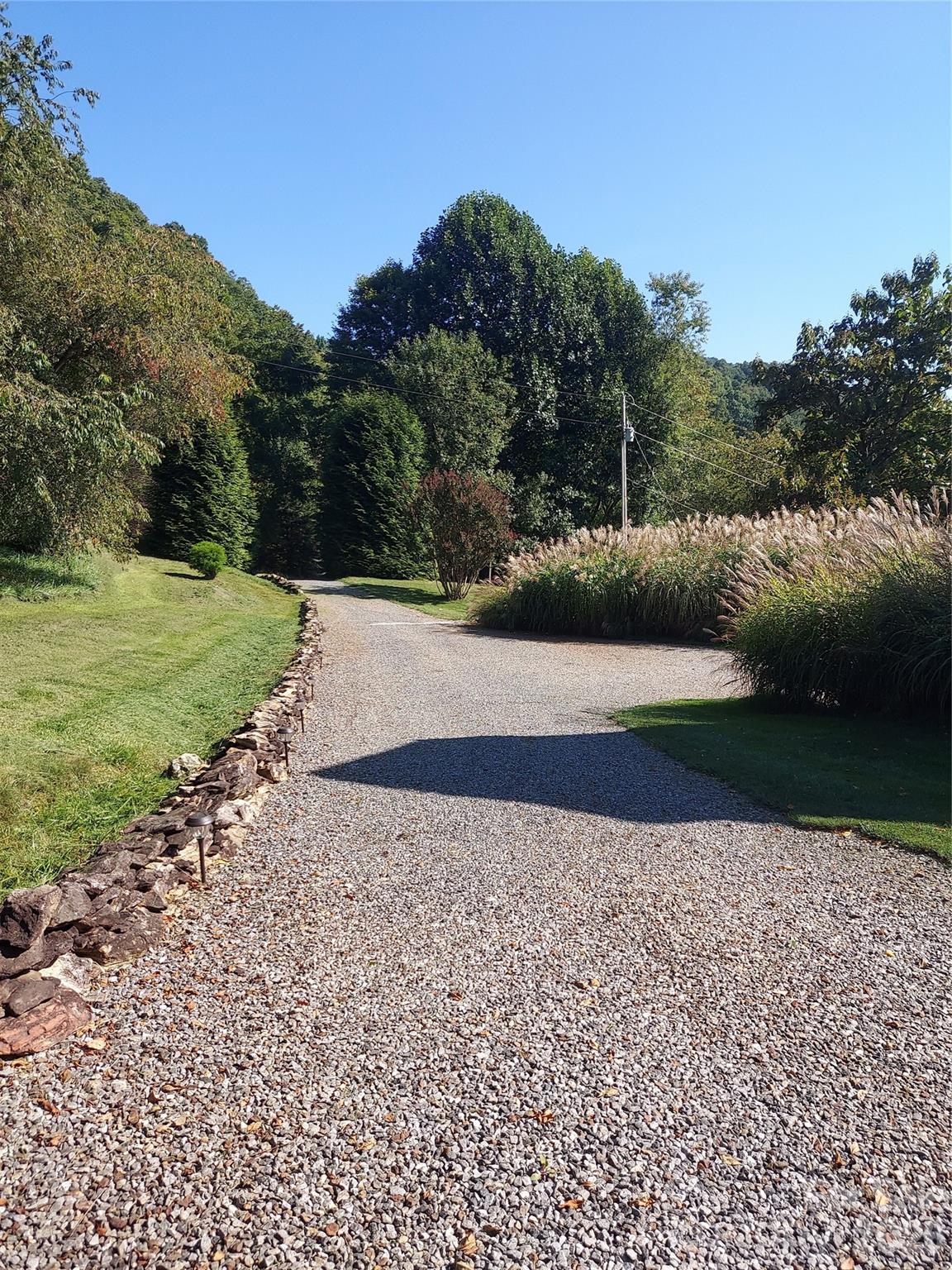 1201 Cathey Cove Road Waynesville, NC 28786 - Photo 4 of 48 a view of a yard