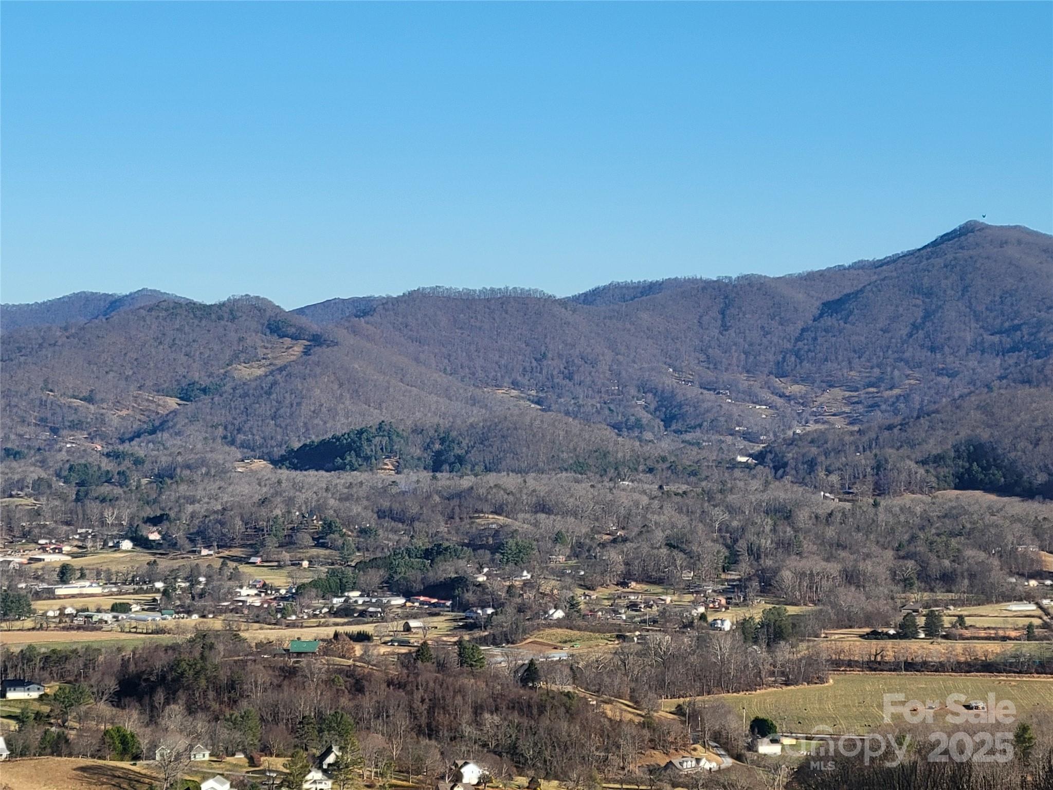 1201 Cathey Cove Road Waynesville, NC 28786 - Photo 47 of 48