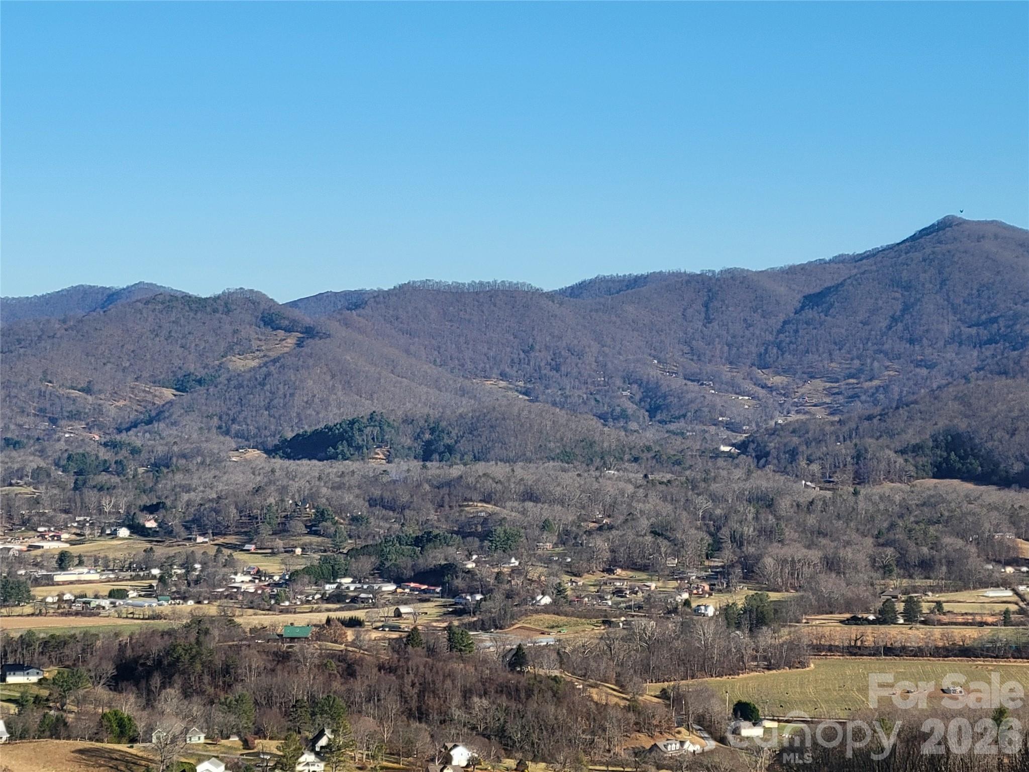 1201 Cathey Cove Road Waynesville, NC 28786 - Photo 47 of 48