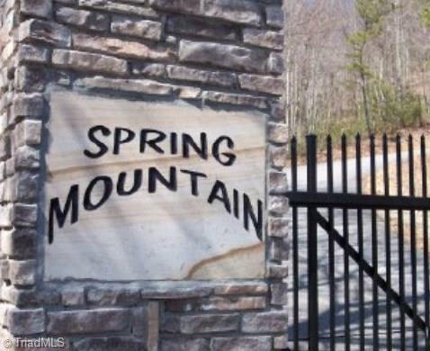 Tbd Tbd Spring Mountain Road, Unit LOT 17 McGrady, NC 28649 - Photo 4 of 9 Gallery Image 4