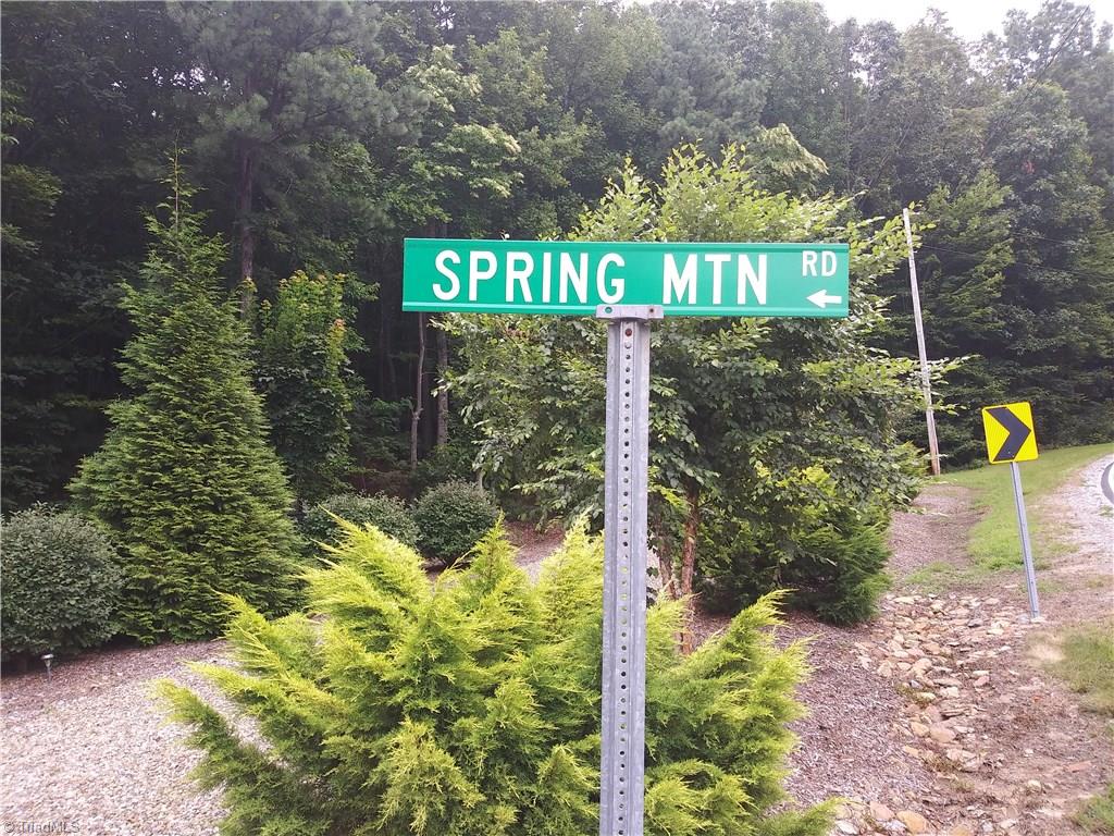 Tbd Tbd Spring Mountain Road, Unit LOT 17 McGrady, NC 28649 - Photo 6 of 9 Gallery Image 6