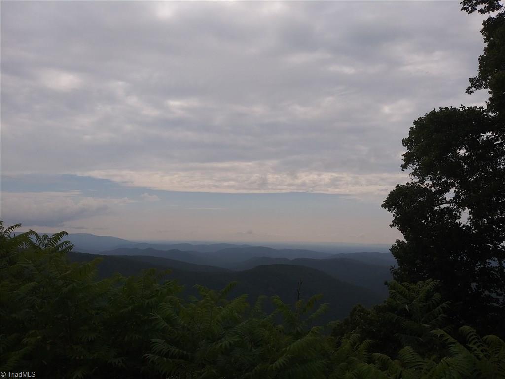 Tbd Tbd Spring Mountain Road, Unit LOT 17 McGrady, NC 28649 - Photo 7 of 9 Gallery Image 7