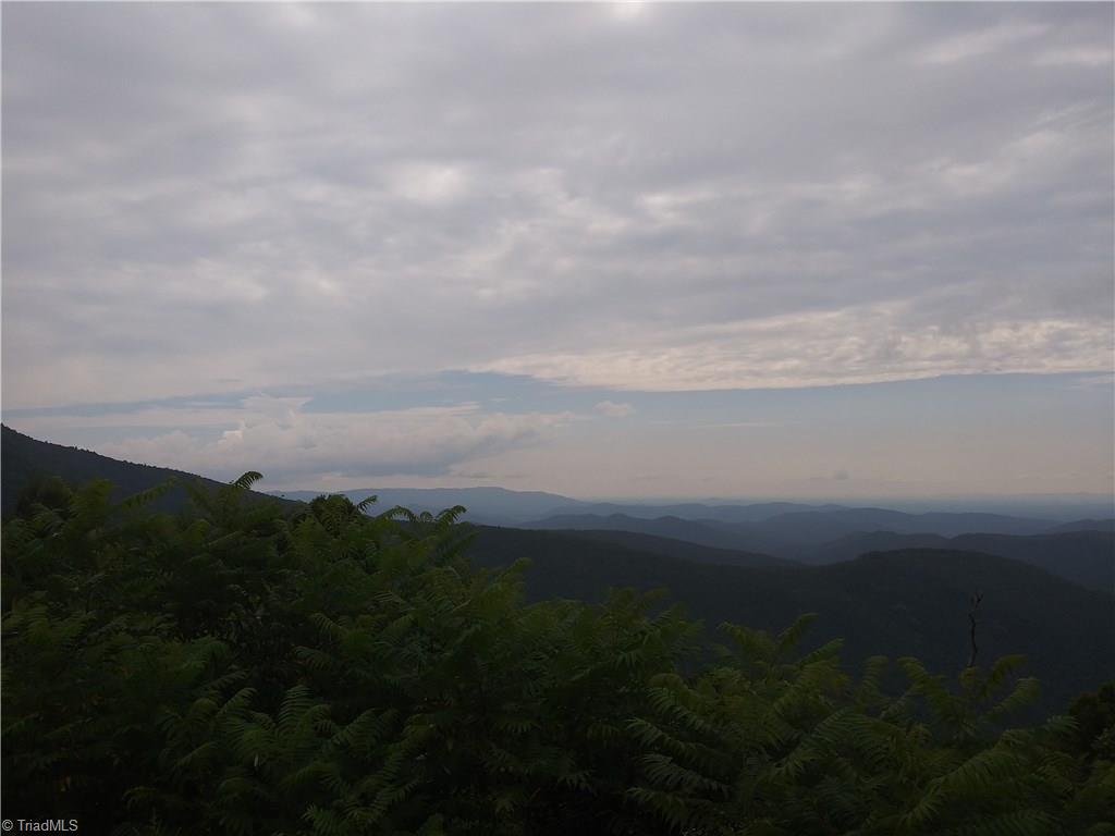 Tbd Tbd Spring Mountain Road, Unit LOT 17 McGrady, NC 28649 - Photo 8 of 9 Gallery Image 8