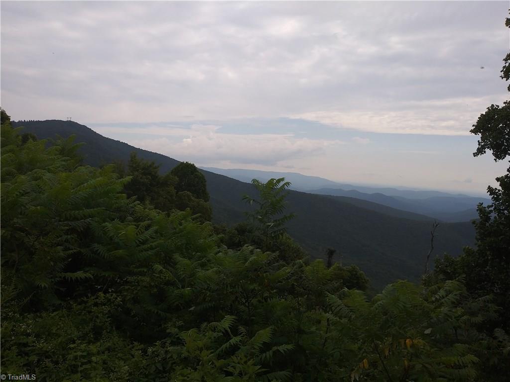 Tbd Tbd Spring Mountain Road, Unit LOT 17 McGrady, NC 28649 - Photo 9 of 9 Gallery Image 9