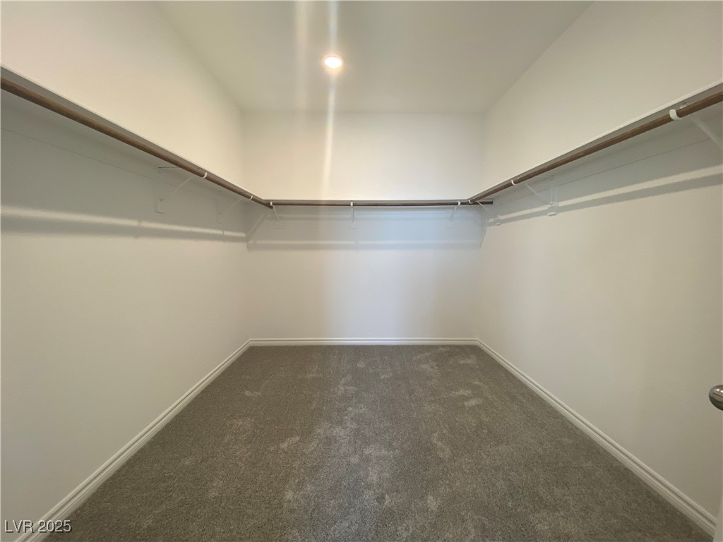 8846 Sasquatch Run Avenue Las Vegas, NV 89166 - Photo 15 of 21 Spacious closet with dark carpet