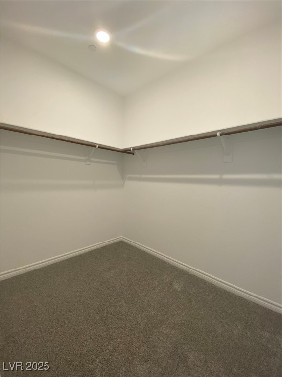 8846 Sasquatch Run Avenue Las Vegas, NV 89166 - Photo 16 of 21 Spacious closet with dark carpet