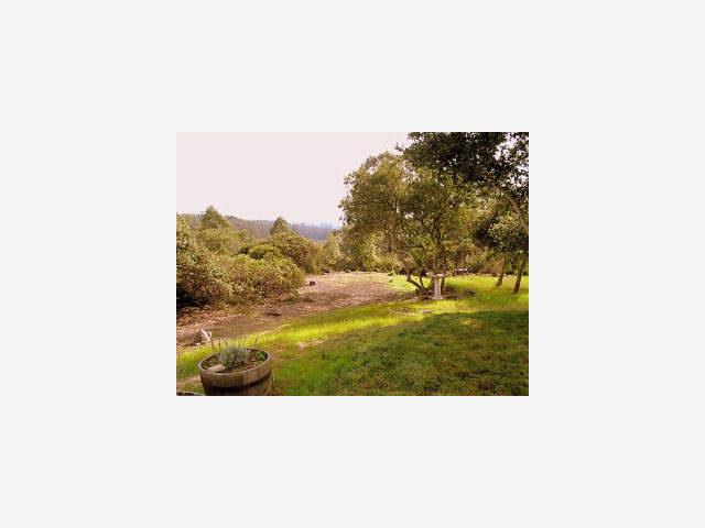 347 Paradise Road Salinas, CA 93907 - Photo 3 of 4 Gallery Image 3