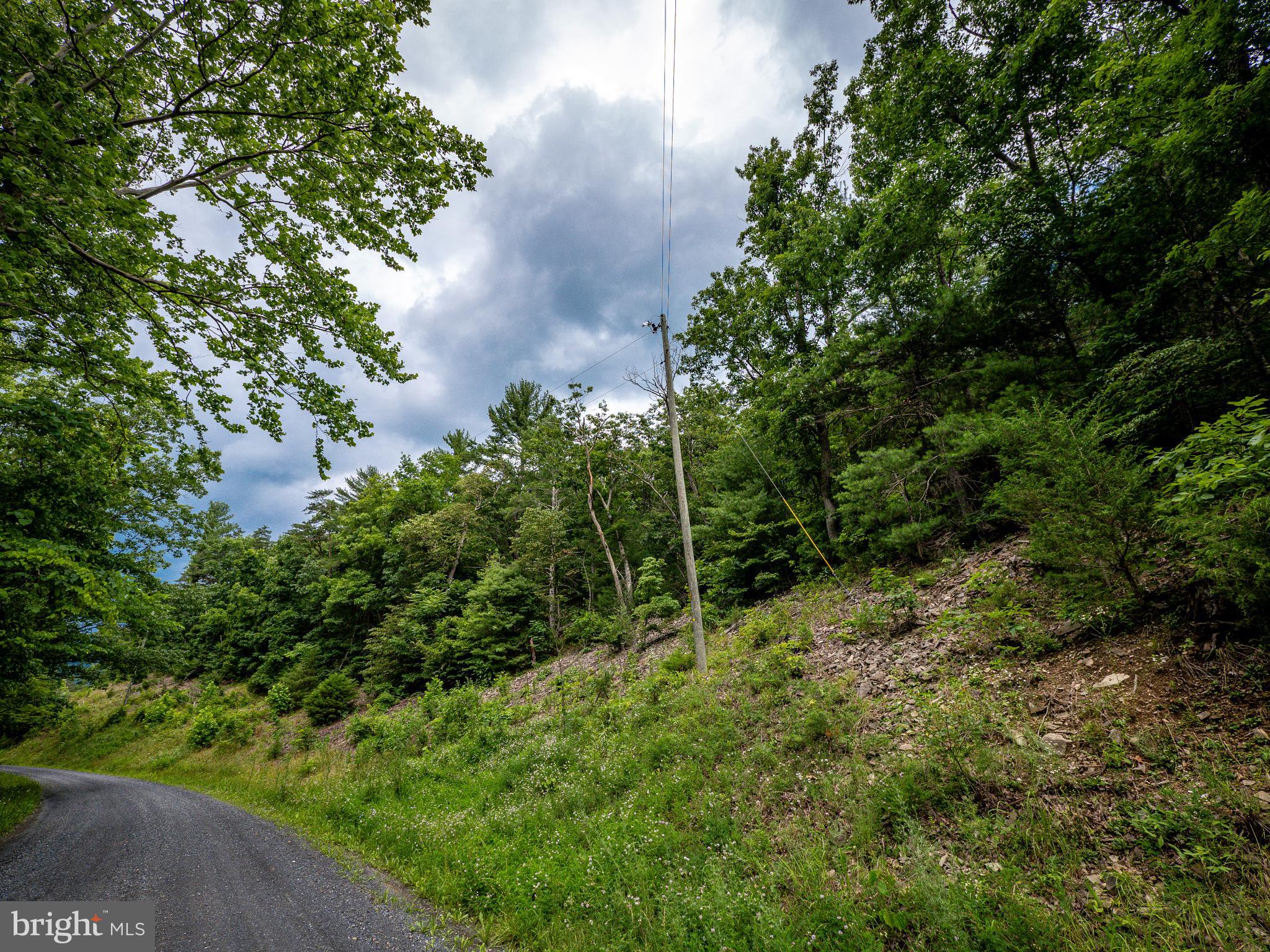 Lot 10 Star Tannery Road Star Tannery, VA 22654 - Photo 11 of 14 Gallery Image 11