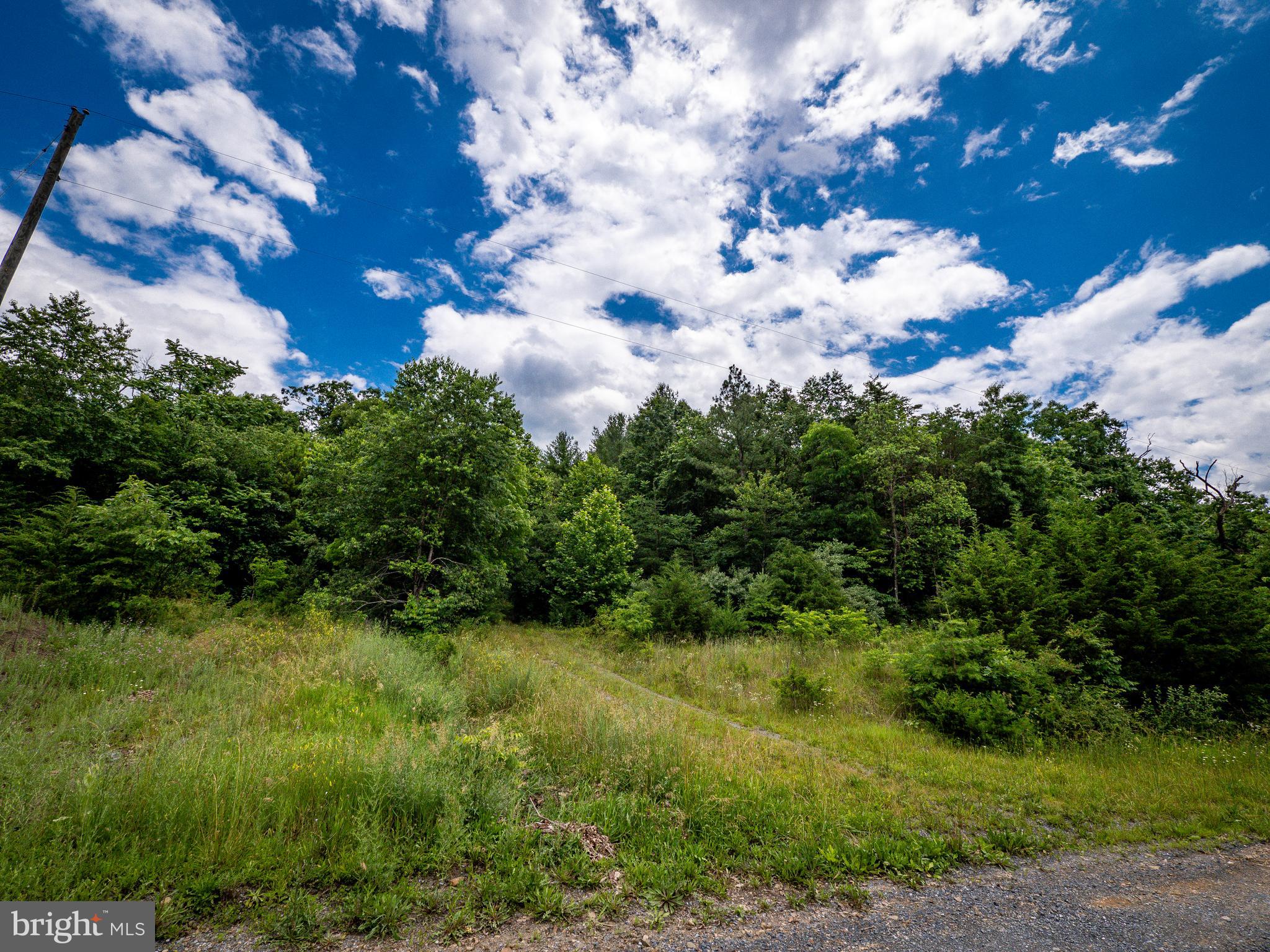 Lot 10 Star Tannery Road Star Tannery, VA 22654 - Photo 7 of 14 Old access road