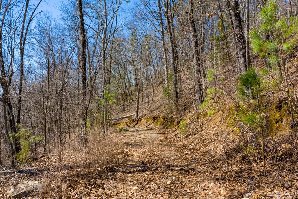 50000 Carters Lake Ranger, GA 30734 - Photo 12 of 37