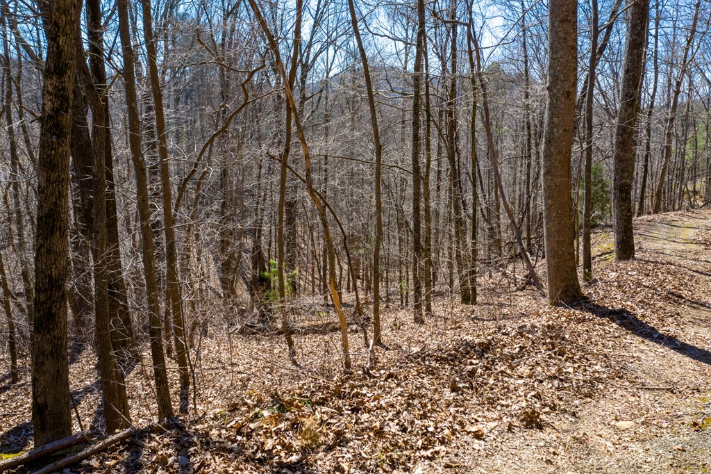 50000 Carters Lake Ranger, GA 30734 - Photo 13 of 37