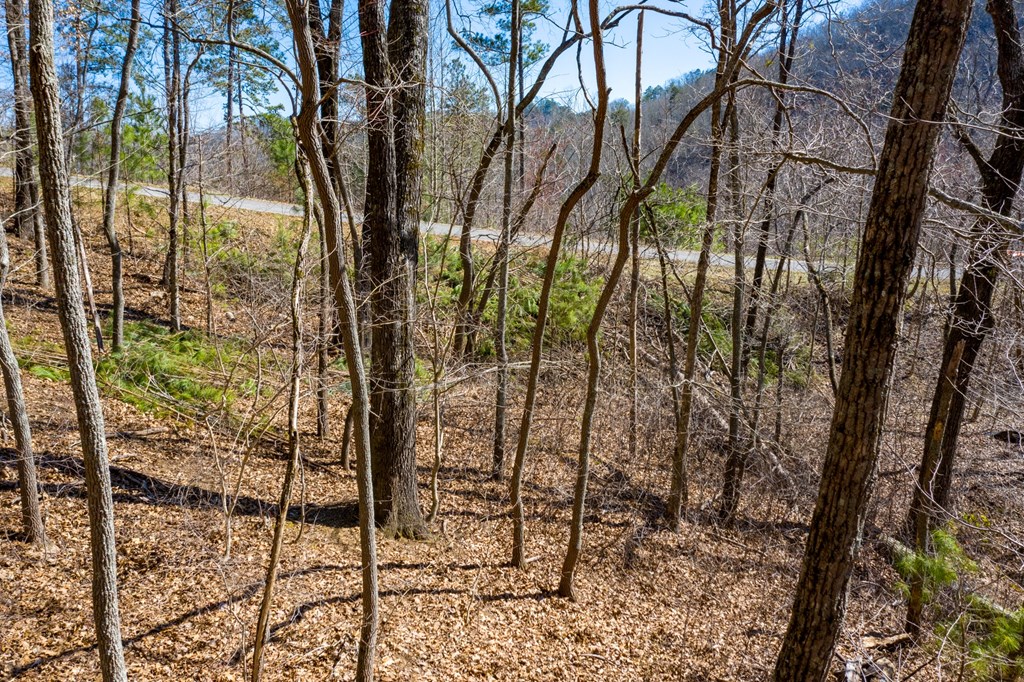 50000 Carters Lake Ranger, GA 30734 - Photo 14 of 37