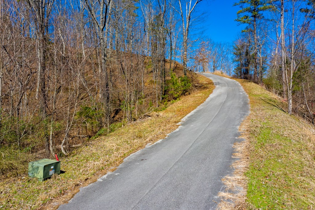 50000 Carters Lake Ranger, GA 30734 - Photo 15 of 37