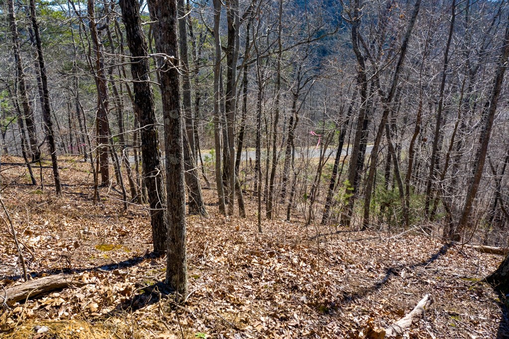 50000 Carters Lake Ranger, GA 30734 - Photo 19 of 37