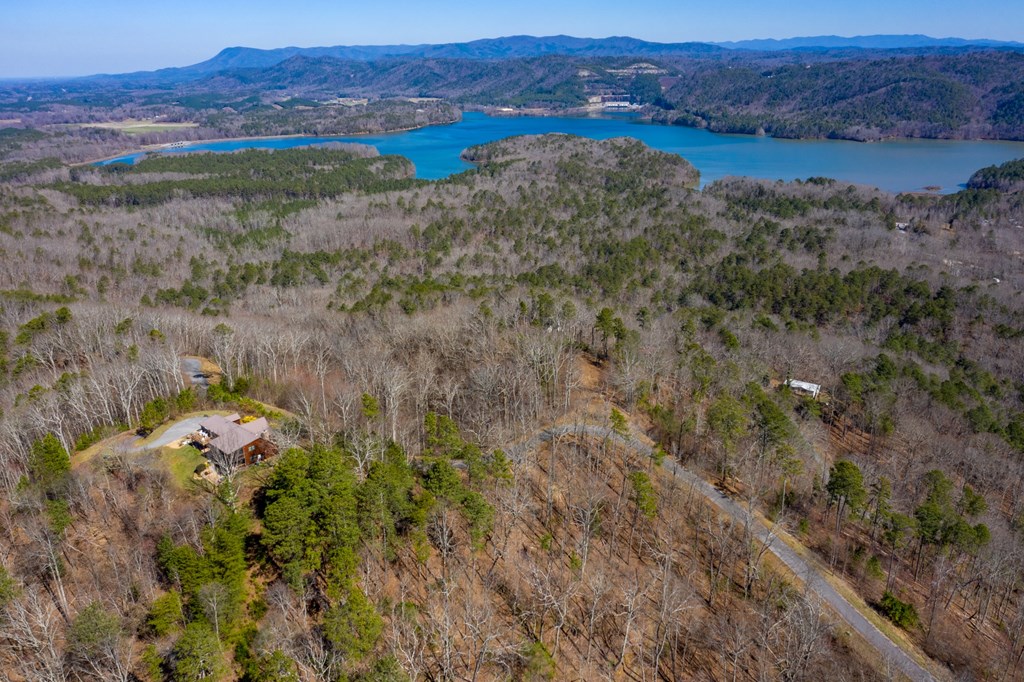 50000 Carters Lake Ranger, GA 30734 - Photo 23 of 37