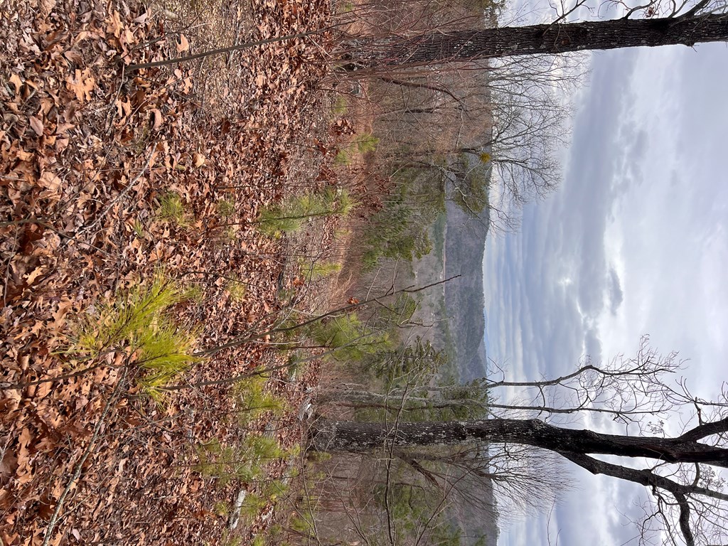 50000 Carters Lake Ranger, GA 30734 - Photo 28 of 37