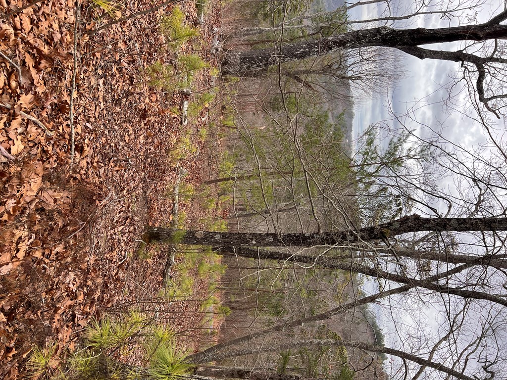 50000 Carters Lake Ranger, GA 30734 - Photo 29 of 37