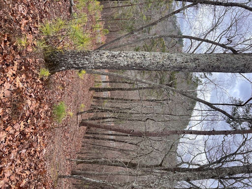 50000 Carters Lake Ranger, GA 30734 - Photo 30 of 37